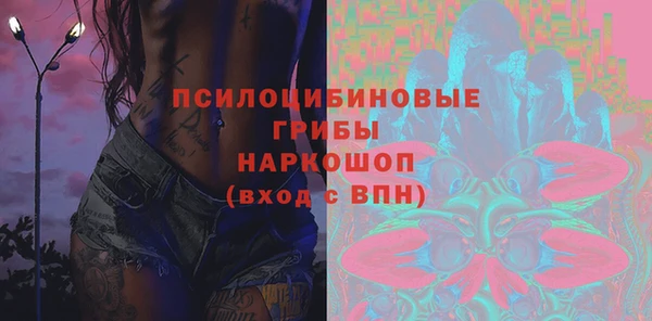 спайс Баксан