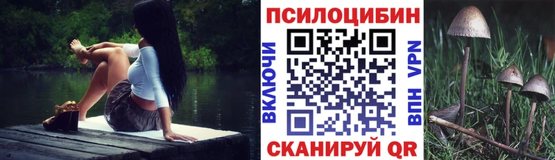 Галлюциногенные грибы Psilocybine cubensis  где купить наркоту  Луховицы 